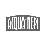 logo nepi